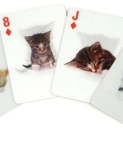 Kikkerland 3D Speelkaarten - Katten -LEERZAME SPELLEN Verkoopwinkel 550x288 6