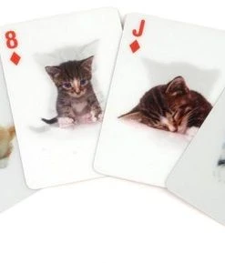 Kikkerland 3D Speelkaarten - Katten -LEERZAME SPELLEN Verkoopwinkel 550x289