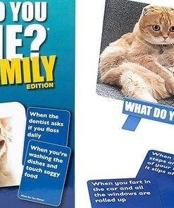 What Do You Meme Family Edition -LEERZAME SPELLEN Verkoopwinkel 550x294 2