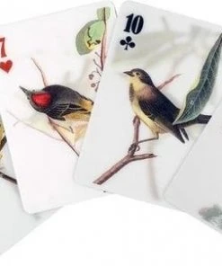 Kikkerland 3D Speelkaarten - Vogels - Kaartspel - Pokerformaat - Vogelplaatjes - Gezelschapsspel - Geschikt Voor Poker, Patience, Bridge, Blackjack, Pesten -LEERZAME SPELLEN Verkoopwinkel 550x303 4