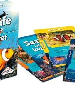 Identity Games Sealife Weetjeskwartet -LEERZAME SPELLEN Verkoopwinkel 550x313 1