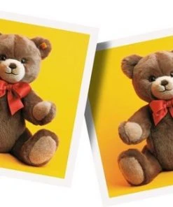 Junior Memory -LEERZAME SPELLEN Verkoopwinkel 550x324 5