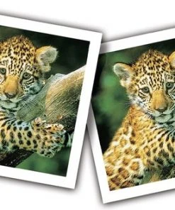 Ravensburger Jonge Dieren Memory® -LEERZAME SPELLEN Verkoopwinkel 550x329 2