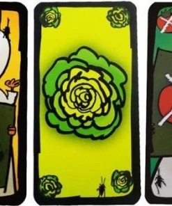 Drie Magiers Spellen Kakkerlakkensalade 29 Drie Magiers Spellen Kakkerlakkensalade -LEERZAME SPELLEN Verkoopwinkel 550x335 1