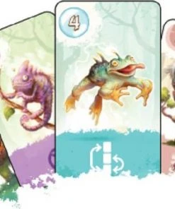 Plan B Games Equinox Paars - Kaartspel -LEERZAME SPELLEN Verkoopwinkel 550x340 9