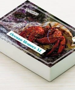 Huurdies Cadeautip! Oceaan Memory - Oceaan - Memory Spel - 70 Stuks - Schoencadeautjes Sinterklaas -LEERZAME SPELLEN Verkoopwinkel 550x353 9