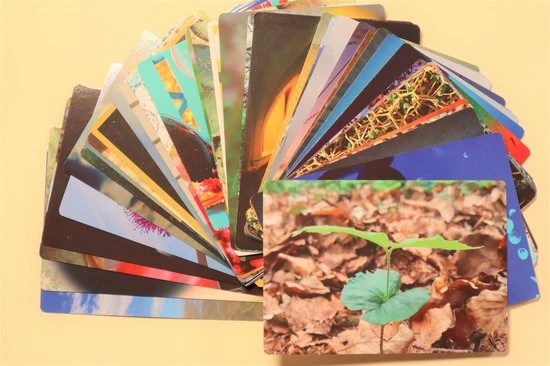 Jonne Baardemans Van Den Broek Foto En Quote Kaartenset - Coachkaarten Of Trainingskaarten - Geschikt Voor Professionals - 40 Unieke Kaarten Enkel En Dubbelzijdig Bruikbaar 3 Jonne Baardemans Van Den Broek Foto En Quote Kaartenset - Coachkaarten Of Trainingskaarten - Geschikt Voor Professionals - 40 Unieke Kaarten Enkel En Dubbelzijdig Bruikbaar