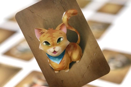 Jolly Dutch If It Fits Kaartspel 5 Jolly Dutch If It Fits Kaartspel - Afbeelding 3