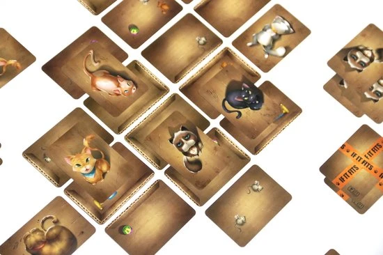 Jolly Dutch If It Fits Kaartspel 6 Jolly Dutch If It Fits Kaartspel - Afbeelding 4