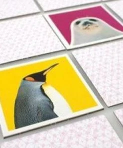 Tactic Wildlife Memo - Kinderspel -LEERZAME SPELLEN Verkoopwinkel 550x366 233