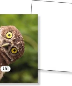 Huurdies Cadeautip! Educatief Dieren Memory Spel - Dierenspel - Dierensoorten Spel - Memoryspel Dieren Met Bijhorende Benamingen- Memory Spel - 70 Kaarten - Schoencadeautjes Sinterklaas -LEERZAME SPELLEN Verkoopwinkel 550x378 6