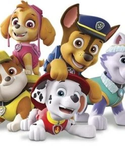 William H. Hurter Ravensburger PAW Patrol Memory - Kaartspel -LEERZAME SPELLEN Verkoopwinkel 550x380 5