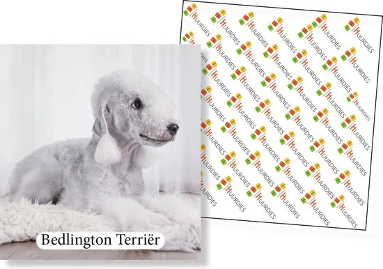 Huurdies Cadeautip! - Honden Memory - Hondenrassen - Honden Memory Spel - Educatief Memoryspel - 70 Stuks - Schoencadeautjes Sinterklaas 5 Huurdies Cadeautip! - Honden Memory - Hondenrassen - Honden Memory Spel - Educatief Memoryspel - 70 Stuks - Schoencadeautjes Sinterklaas - Afbeelding 3