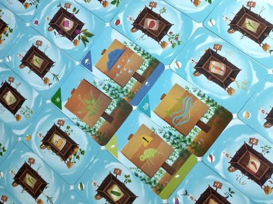 Jolly Dutch Unbeetable - Kaartspel 5 Jolly Dutch Unbeetable - Kaartspel - Afbeelding 3