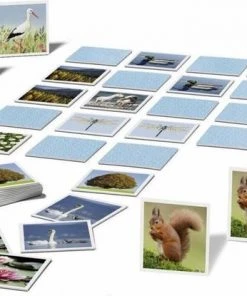 Family Memory� Nature - Kinderspel -LEERZAME SPELLEN Verkoopwinkel 550x415 7