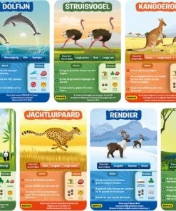 Skillmatics Wijzer Over De Basisschool - Raad Na 10 - Dierenwereld -LEERZAME SPELLEN Verkoopwinkel 550x416 4