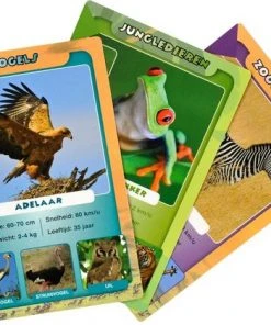 Identity Games Wildlife Weetjeskwartet 13 Identity Games Wildlife Weetjeskwartet -LEERZAME SPELLEN Verkoopwinkel 550x420 4
