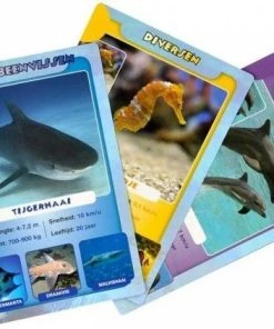 Identity Games Sealife Weetjeskwartet -LEERZAME SPELLEN Verkoopwinkel 550x422 2