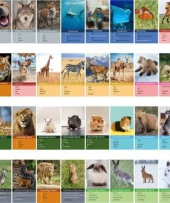 Huurdies Cadeautip! Kwartetspel Dieren XL - Kwartetspel Volwassenen - Kwartetspel Kinderen - 48 Kaarten - 12 Kwartetten - Schoencadeautjes Sinterklaas