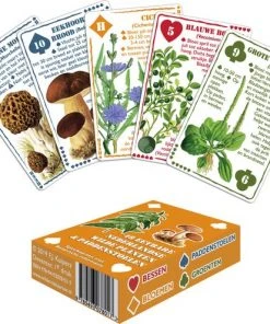 Buiten-Speelkaarten Wilderniskaarten - Eetbare Wilde Flora -LEERZAME SPELLEN Verkoopwinkel 550x495 7