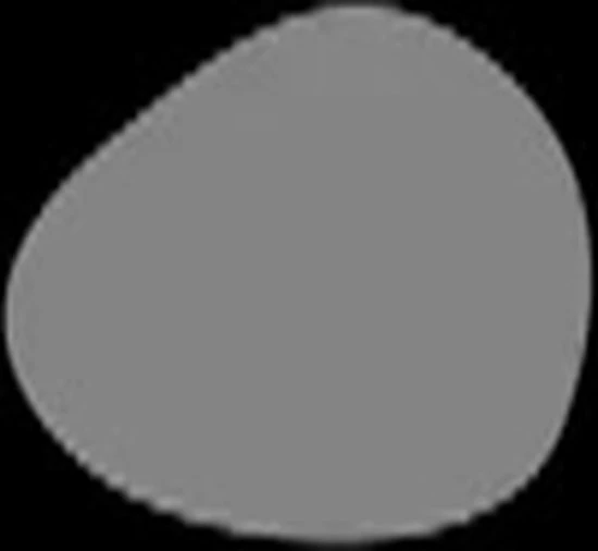 Blue Orange Gaming - Taco Cat Goat Cheese Pizza - Kaartspel 4 Blue Orange Gaming - Taco Cat Goat Cheese Pizza - Kaartspel - Afbeelding 2