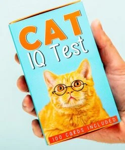 Gift Republic Kat IQ Test
