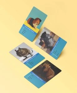 Huurdies Cadeautip! Kwartetspel Dieren XL - Kwartetspel Volwassenen - Kwartetspel Kinderen - 48 Kaarten - 12 Kwartetten - Schoencadeautjes Sinterklaas 8 Huurdies Cadeautip! Kwartetspel Dieren XL - Kwartetspel Volwassenen - Kwartetspel Kinderen - 48 Kaarten - 12 Kwartetten - Schoencadeautjes Sinterklaas -LEERZAME SPELLEN Verkoopwinkel 550x530 6