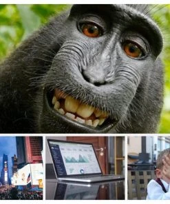 Scrumartikelen.nl Coachkaarten Groot Formaat 21 X 15 Cm Voor Workshops En Training Coachingskaarten - Associatiekaarten Inspiratiekaarten - Fotokaarten Voor Kinderen, Jongeren En Volwassenen - 45 Kaarten In Stevig Doosje -LEERZAME SPELLEN Verkoopwinkel 550x550 122