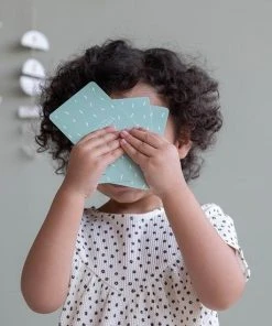 Little Dutch Spel Kwartet - Dieren -LEERZAME SPELLEN Verkoopwinkel 550x550 22