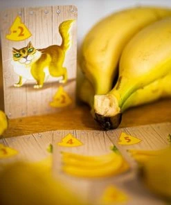 White Goblin Games Kaartspel Rat Attack Party (nl) -LEERZAME SPELLEN Verkoopwinkel 550x550 353