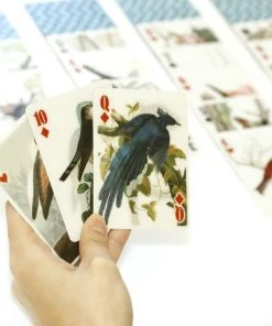 Kikkerland 3D Speelkaarten - Vogels - Kaartspel - Pokerformaat - Vogelplaatjes - Gezelschapsspel - Geschikt Voor Poker, Patience, Bridge, Blackjack, Pesten -LEERZAME SPELLEN Verkoopwinkel 550x550 407