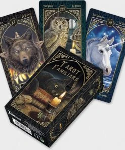 Lisa Larker Nemesis Now - Tarot Kaarten Lisa Parker Familiar - Meerkleurig -LEERZAME SPELLEN Verkoopwinkel 550x558 3