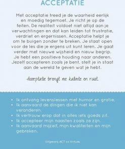 Annelies Wiersma 100 Kleurrijke Deugden Inzichtkaarten -LEERZAME SPELLEN Verkoopwinkel 550x636 4