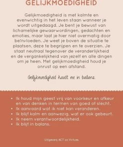 Annelies Wiersma 100 Kleurrijke Deugden Inzichtkaarten -LEERZAME SPELLEN Verkoopwinkel 550x636 6