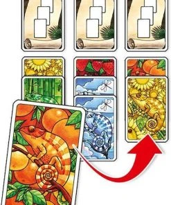 Abacus Spiele Coloretto - Kaartspel -LEERZAME SPELLEN Verkoopwinkel 550x760 2