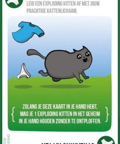 Exploding Kittens Streaking Kittens Uitbreiding - Nederlandstalig Kaartspel -LEERZAME SPELLEN Verkoopwinkel 550x795 1