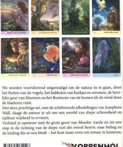 Angela Hartfield Fluisteringen Van De Natuur 7 Angela Hartfield Fluisteringen Van De Natuur -LEERZAME SPELLEN Verkoopwinkel 550x801 5