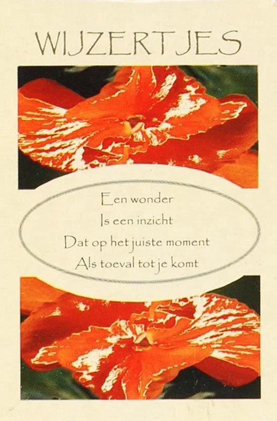 M.I. Van Dijk-Boelhouwer Wijzertjes Inzichtkaarten 3 M.I. Van Dijk-Boelhouwer Wijzertjes Inzichtkaarten